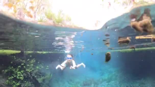 澳大利亚北部马塔兰卡附近的比特泉 澳大利亚女孩在水下游泳 — 图库视频影像