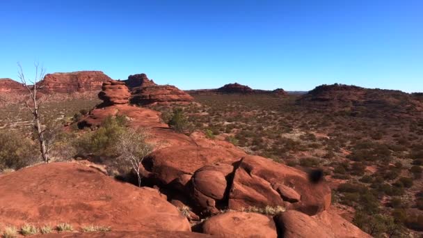 Landschaftsaufnahme Des Finke Gorge National Park Northern Territory Von Australien — Stockvideo