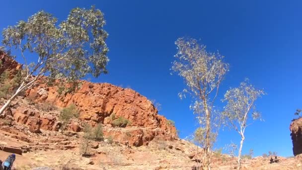 Vue Paysage Gorge Ormiston Dans Parc National West Macdonnell Territoire — Video