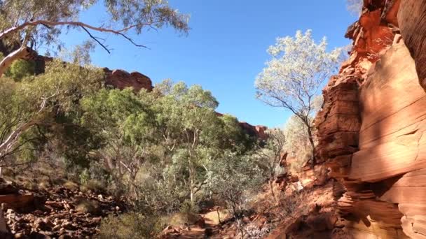 Landskapsbild Kings Canyon Norra Territoriet Australien — Stockvideo