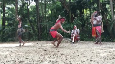 Avustralya 'nın Queensland şehrinde didgeridoo müzik aleti eşliğinde dans eden yerli Avustralyalılar.