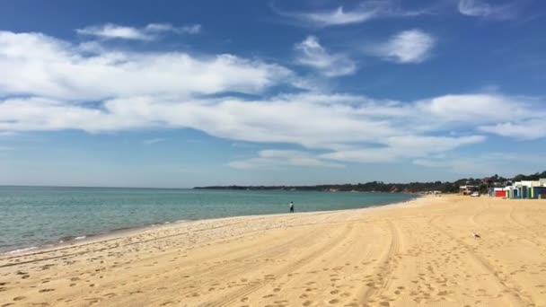Kultowe Pudełka Kąpieliska Półwyspu Mornington Melbourne Australia — Wideo stockowe