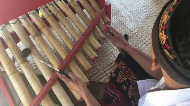 Indonesische Man Speelt Traditionele Gamelan Muziek Bamboe Xylophone Muziekinstrument — Stockvideo