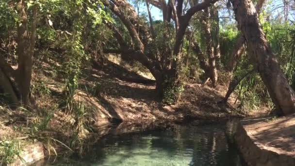 Território Norte Katherine Hot Springs Austrália — Vídeo de Stock