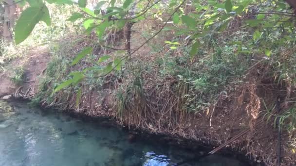 Katherine Hot Springs Katherine Nel Territorio Del Nord Australia — Video Stock