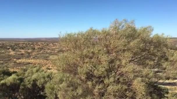 Landskapsutsikt Över Finke Gorge National Park Norra Territoriet Australien — Stockvideo