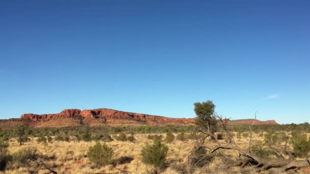 Landschapsbeeld Van Kings Canyon Het Northern Territory Australië — Stockvideo