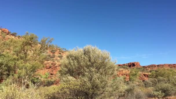 Krajobraz Kanionu Królów Terytorium Północnym Australia — Wideo stockowe