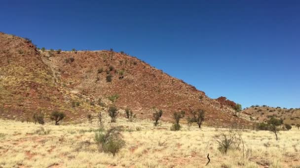 オーストラリア北部準州のキングスキャニオンの風景 — ストック動画