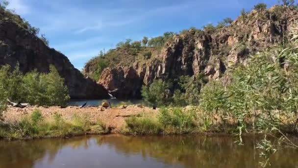 ニトミルク国立公園内のリリン エディス滝の景観 North Territory Australia — ストック動画