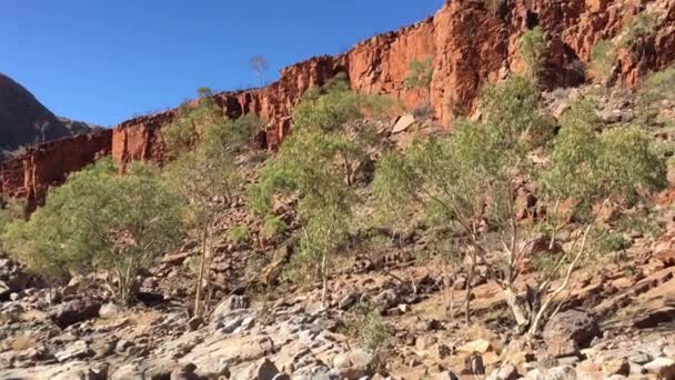 Paisaje Ormiston Gorge Water Hole Parque Nacional West Macdonnell Territorio — Vídeo de stock