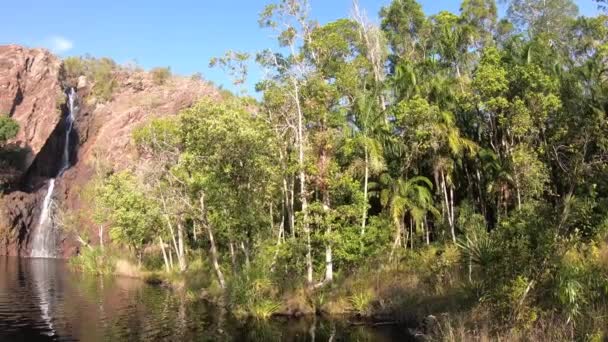 Landschap Uitzicht Wangi Falls Litchfield National Park Het Noordelijke Territorium — Stockvideo