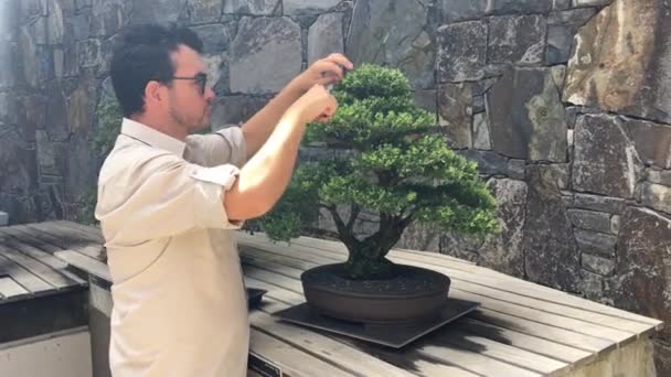 堪培拉国家植物园园丁修剪盆景树 Gardener Trimming Bonsai Tree National Arboretum Canberra Australia 是一种日本艺术形式 — 图库视频影像