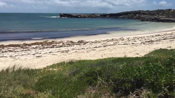 緑の頭のダイナマイト湾のパノラマ風景 Western Australia — ストック動画