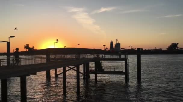 Silueta Přístavu Hedland Pier Jetty Port Hedland Pilbara Západní Austrálie — Stock video