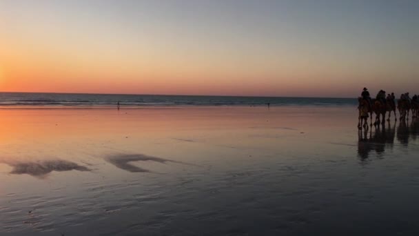 Silhouette Touristes Méconnaissables Sur Convoi Chameaux Sur Cable Beach Broome — Video