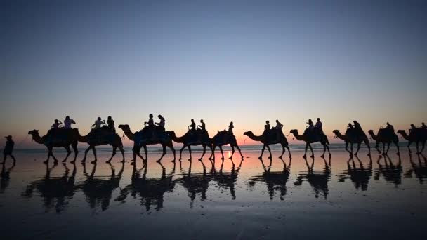 Silhouet Van Onherkenbare Toeristen Kameel Rijden Konvooi Cable Beach Broome — Stockvideo