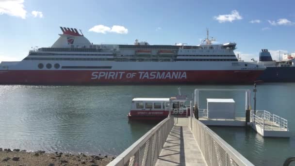 Devonport Tas 2019年3月14日 タスマニア2世の精神 Spirit Tasmania Port Devonport Tasmania メルボルンとデヴォンポートタスマニアを結ぶルート上で運航される超高速ロパックスフェリーです — ストック動画