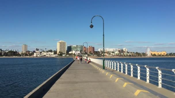 Melbourne Abril 2019 Paisaje Del Muelle Kilda Port Philip Bay — Vídeos de Stock