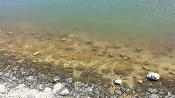 Stromatolites Lake Thetis Cervantes Western Australia — Stock Video
