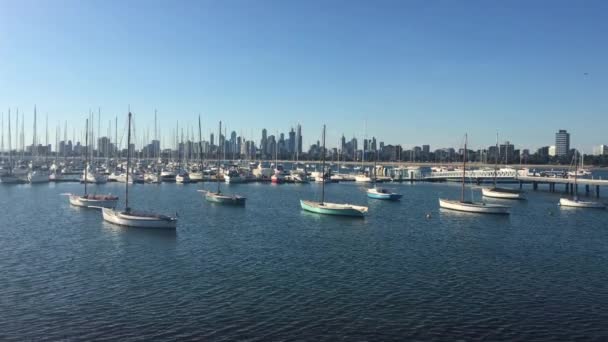 Veleiros Contra Melbourne Skyline Victoria Austrália — Vídeo de Stock