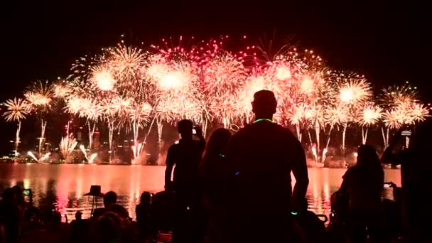 Silhouette Irriconoscibili Australiani Che Guardano Fuochi Artificio Perth Nell Australia — Video Stock