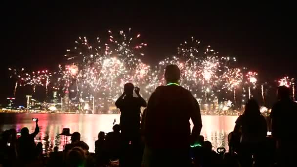 Silhouet Van Onherkenbare Australische Mensen Kijken Naar Vuurwerk Vertoning Perth — Stockvideo