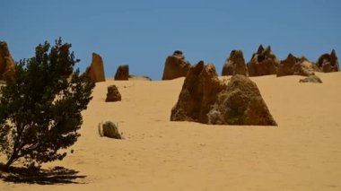 Zirveler çöl manzarası Batı Avustralya