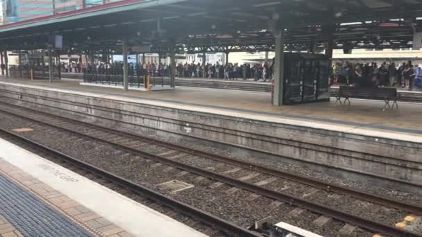 Sydney Feb 2019 Tráfego Nas Plataformas Ferroviárias Estação Central Sydney — Vídeo de Stock