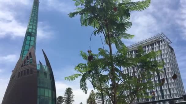 Perth Batı Avustralya Daki Kuğu Çan Kulesi Kuğu Çanları Dublin — Stok video