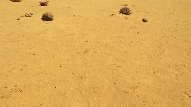 Paisagem Deserto Pináculos Oeste Austrália — Vídeo de Stock