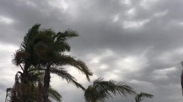 Temps Écoulé Entre Foudre Tropicale Orage — Video