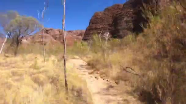 Time Lapse Pov Standpunt Van Een Persoon Wandelen Bij Bungle — Stockvideo