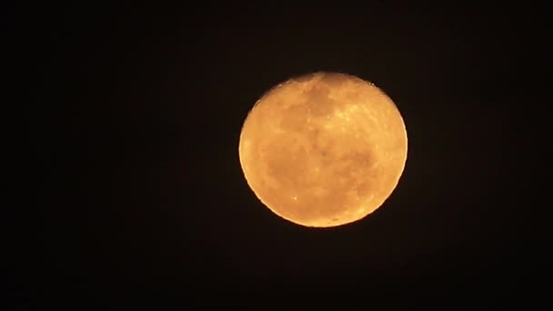 Red Blood Moon Cer Întunecat Noapte Neagră — Videoclip de stoc