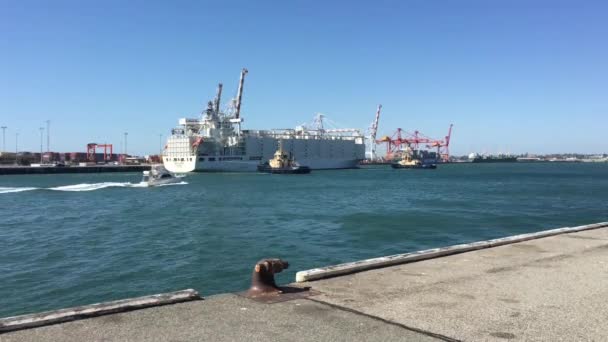 Perth Jan 2010 Two Tugboats Pulling Out Dock Cargo Ship — Stock Video