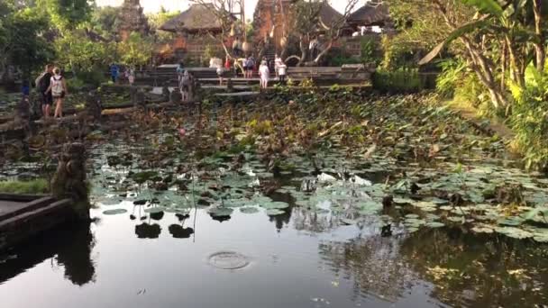 Ubud Water Palace Pura Taman Saraswati Ubud Bali Indonesien Flygtiden — Stockvideo