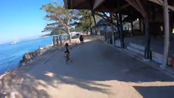 Gili Islands Bali 8月15 2019 時間経過Pov ジリ島インドネシアで自転車に乗る人の ジリ島は車やバイクなしで非常に人気のある観光地です — ストック動画