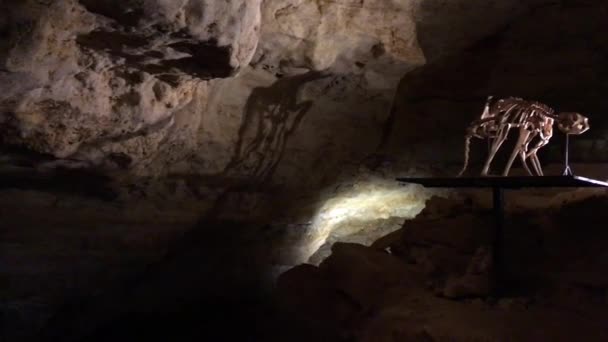 Печера Victoria Fossil Cave Naracoorte Caves National Park Визнана 1994 — стокове відео