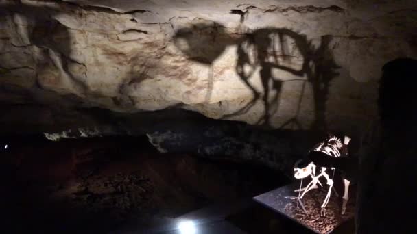 Печера Victoria Fossil Cave Naracoorte Caves National Park Визнана 1994 — стокове відео