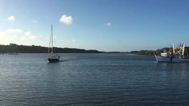 Yachts Och Fiskebåtar Yamba Marina Populär Semesterort New South Wales — Stockvideo