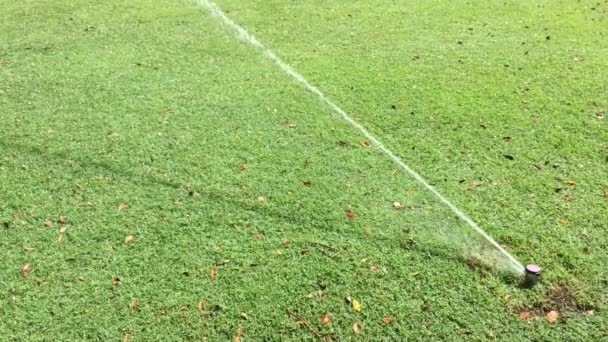 Wassersprenger Wässert Grünes Gras — Stockvideo