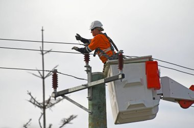 Avustralyalı kadın elektrik işçisi elektrik hattını tamir ediyor. Avustralya 'daki tüm işverenlerin% 47,0 