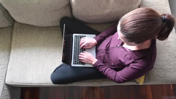 Widok Lotu Ptaka Młodej Kobiety Używającej Laptopa Kanapie Pracującej Domu — Wideo stockowe