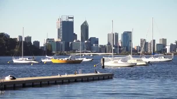 Tájkép Kilátás Vitorlás Kikötés Swan River Szemben Perth Pénzügyi Kerület — Stock videók