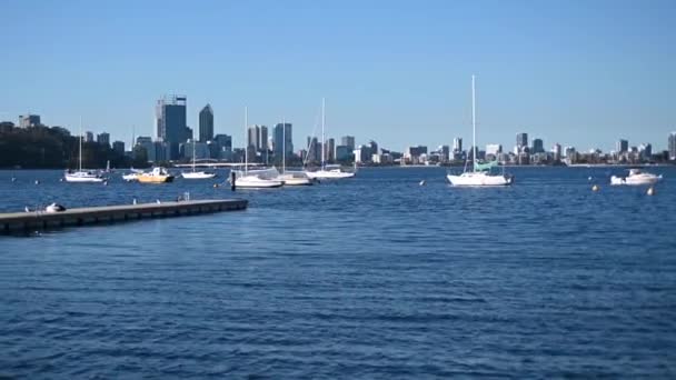 Landscape View Sail Boats Mooring Swan River Perth Financial District — Stock Video