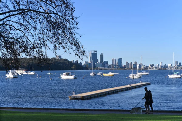 Silhouette Jeunes Adultes Australiens Méconnaissables Promenant Leur Chien Long Rivière — Photo