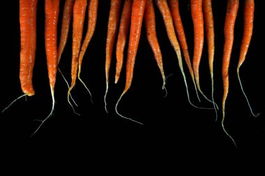 Siyah arka planda izole edilmiş düz havuç yatağı