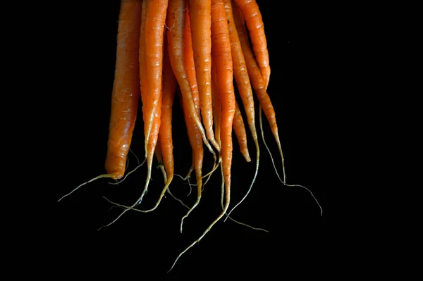 Flat lay of carrots isolated on black background