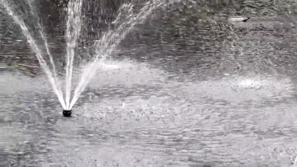 Водний Фонтан Бризкає Воду Краплями Ставку — стокове відео
