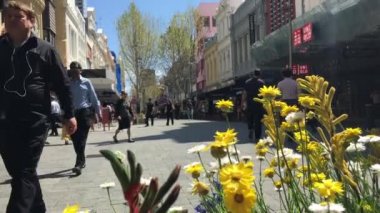 PERTH - SEP 25 2020: Hay Caddesi 'nde çiçek açan yayaların önünden geçen yayalar, Perth, Batı Avustralya' nın merkez ticaret bölgesinden geçen büyük bir yol. .